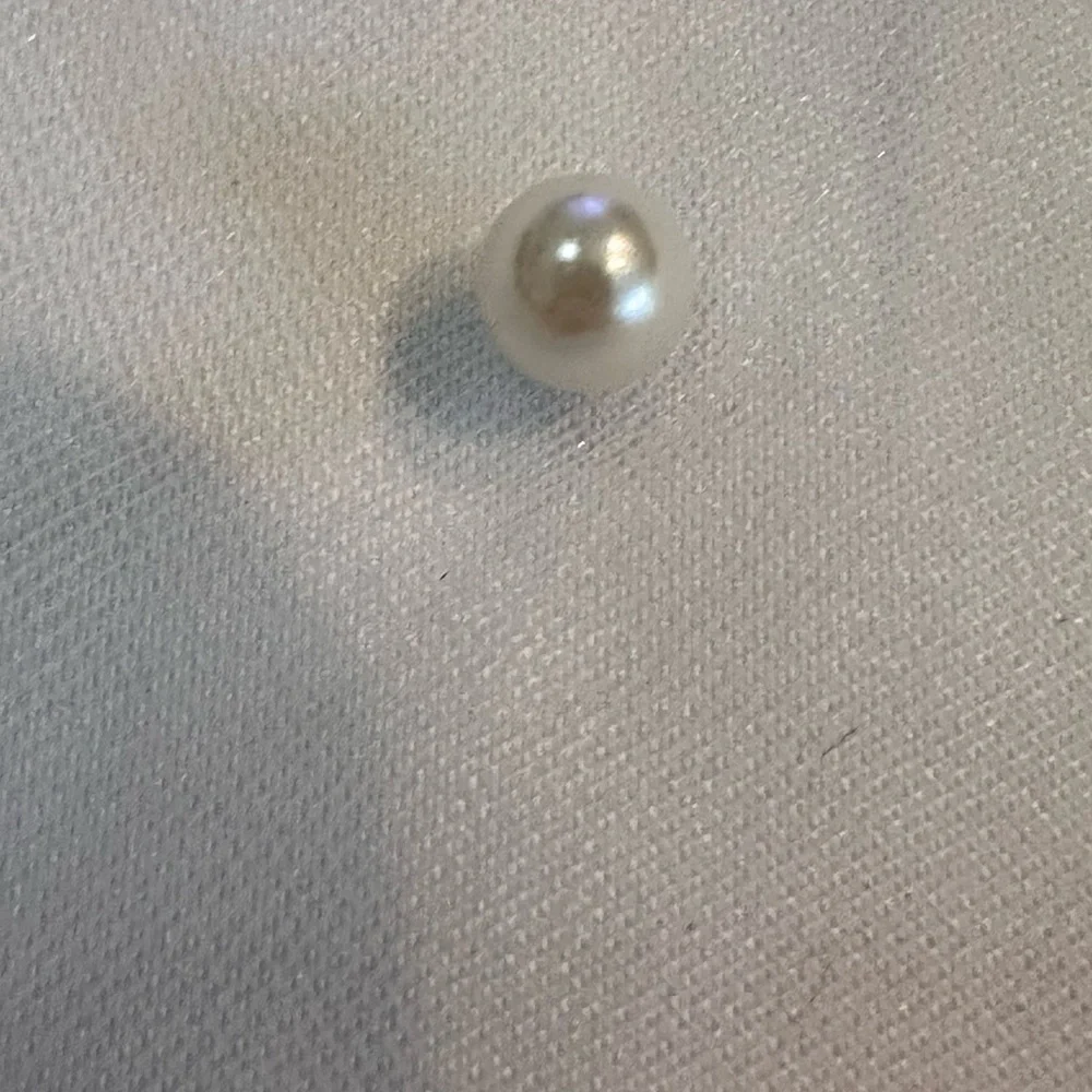 Elegant White Hair Bow with Veil studded with Pearls white shorter length